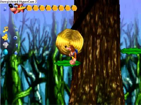 Project Dream / Banjo Kazooie [N64 - Beta / Proto / Test Level] - Unseen64